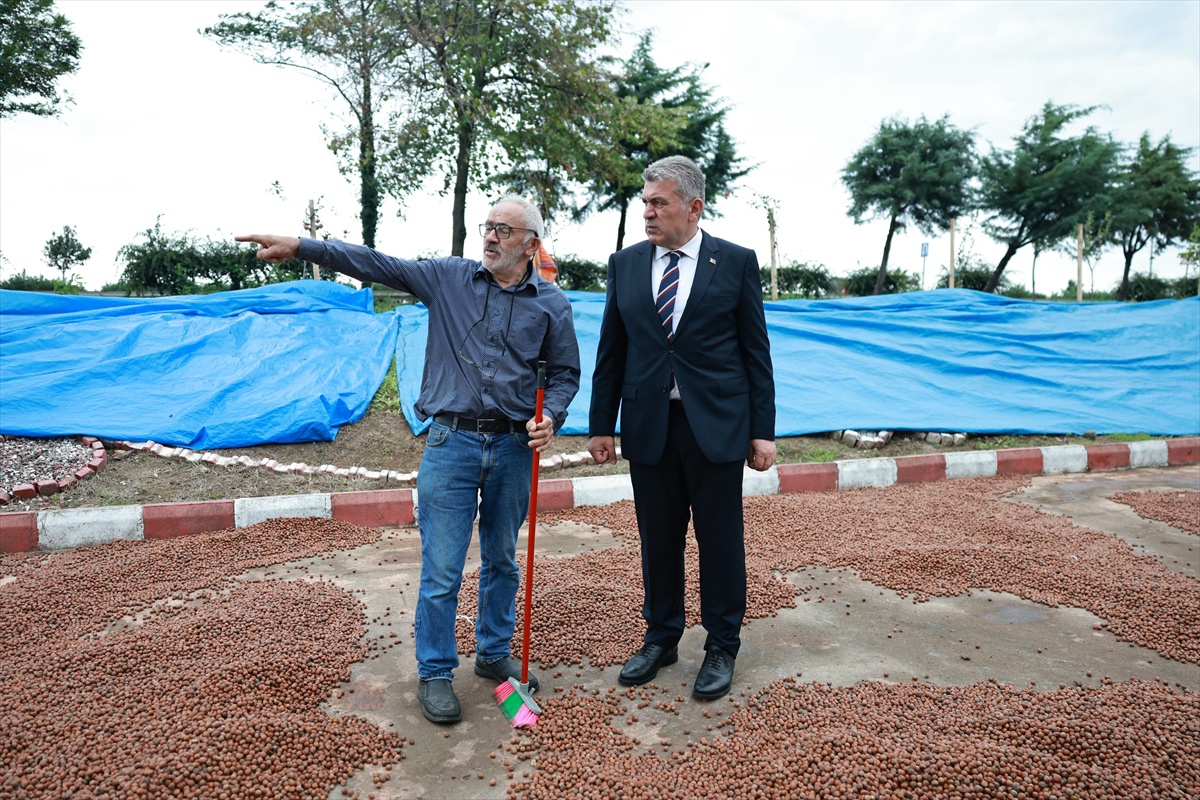 Bulancak\'ta fındık üreticileri için kapalı otopark yağışta kullanıma açıldı