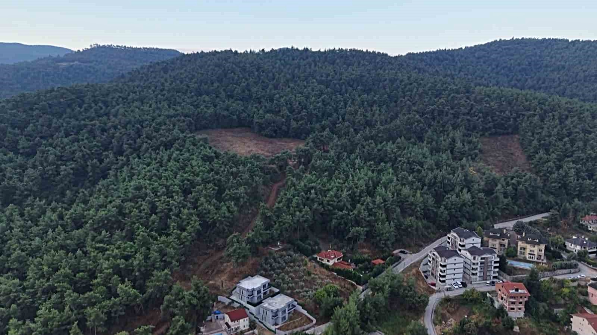 Bursa Nilüfer Çalı\'da 3 ayı tedirginliğe yol açtı, muhtar tedbir çağrısı yaptı