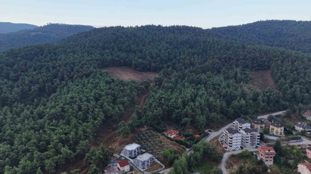 Bursa Nilüfer Çalı'da 3 ayı tedirginliğe yol açtı, muhtar tedbir çağrısı yaptı