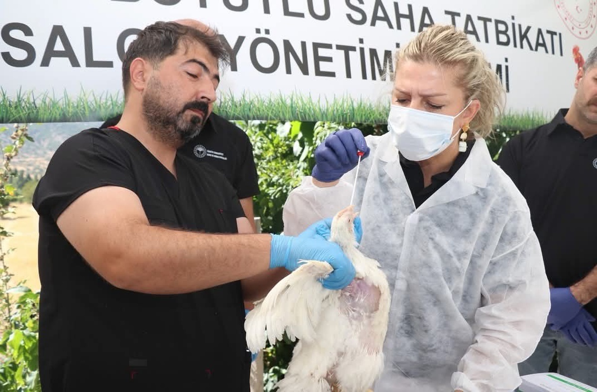 Elazığ\'da kuş gribi tatbikatı Küllük köyündeki etlik kümeste gerçekleştirildi