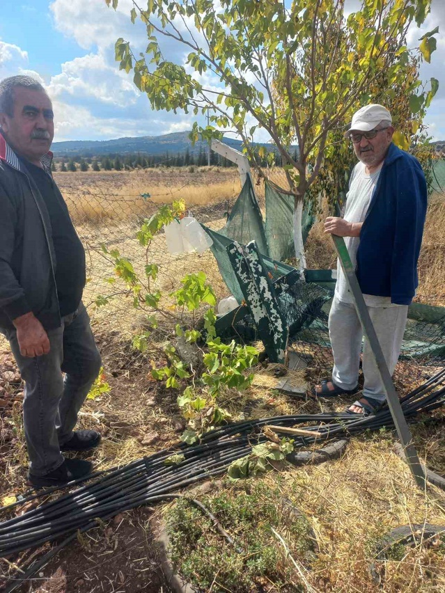 Eskişehir'de bahçe tellerine kimliği belirsiz kişilerce zarar verildiği iddia edildi