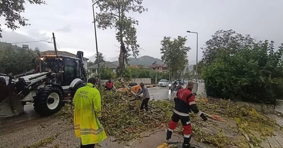 Hatay Yayladağı\'nda fırtınanın devirdiği ağaç park halindeki aracın üstüne düştü