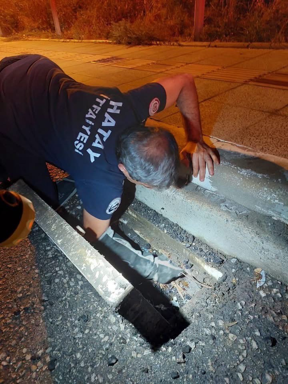 Hatay İskenderun\'da mahsur kalan hayvanlar itfaiye ekiplerince kurtarıldı