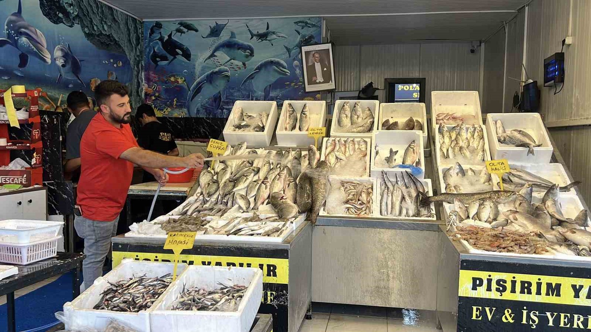 Mersin\'de av yasağı bitti, tezgahlarda bazı balık fiyatları yüzde 50-60 geriledi