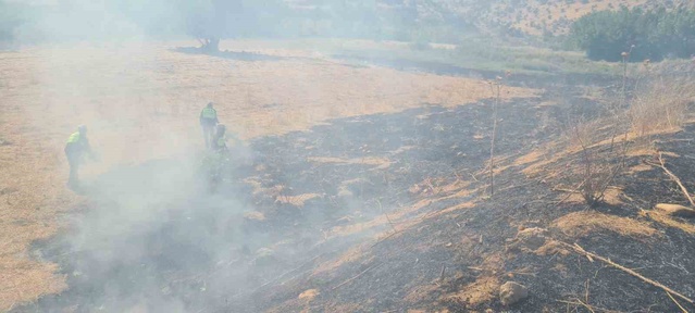 Siirt Eruh'ta Zarova Çayı'ndaki yangın koordineli müdahaleyle söndürüldü