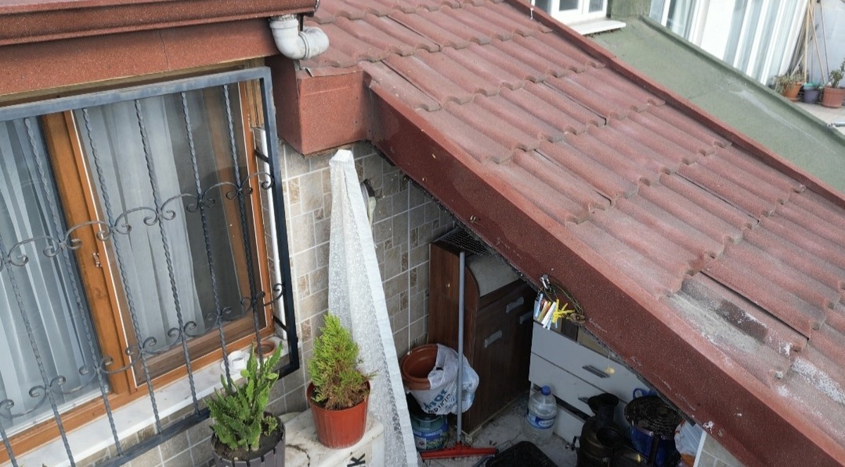 Sultangazi\'de çatıdaki arılar 10 gündür aileyi sokuyor, kadın acil servise gitti