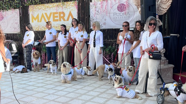 Patipark Hayvanseverler Derneği Ankara'da 2'si engelli 19 köpeği sahiplendirdi