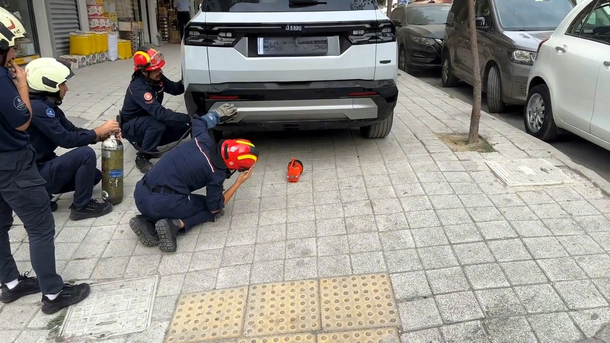 Avcılar\'da cipin yedek lastik bölümüne giren kedi sıkıştı, itfaiye ekibi kurtardı