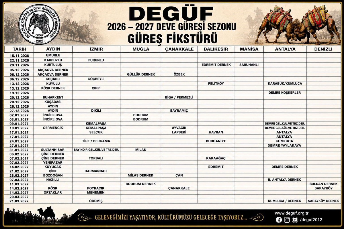 Aydın\'da 24 deve güreşi takvimi belli oldu, ihlalde 5 bin 500 TL ceza var