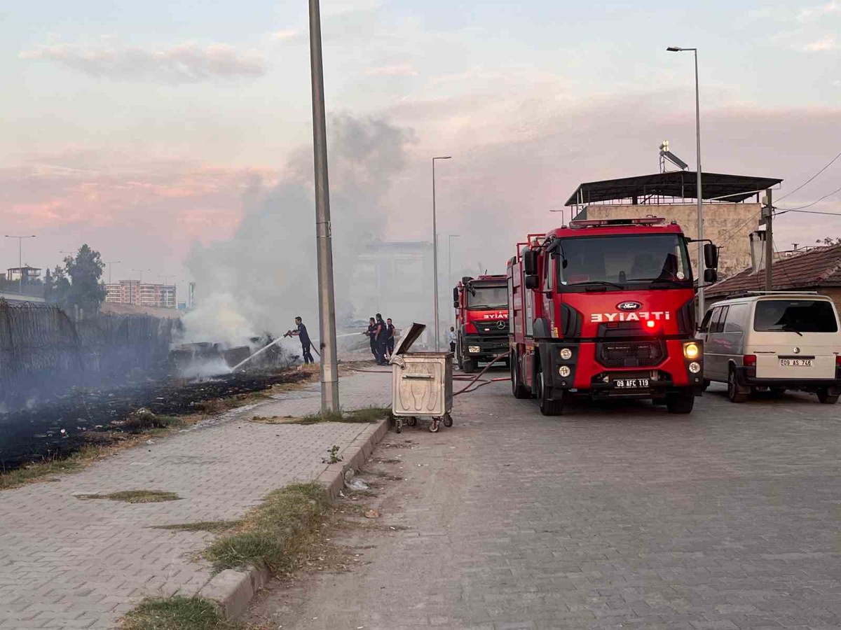 Aydın Efeler\'de otoban kenarında çıkan yangın evlere sıçramadan kontrol altına alındı
