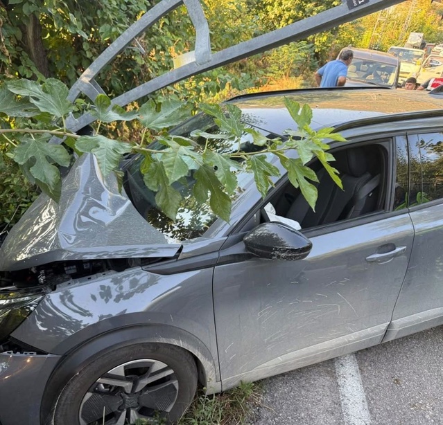 Hatay İskenderun'da direğe çarpan otomobildeki yaralı sürücüyü itfaiye kurtardı