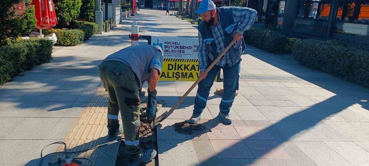 Kocaeli Büyükşehir Belediyesi, İzmit Hürriyet Caddesi ve Sekapark\'ta yolları onarıyor