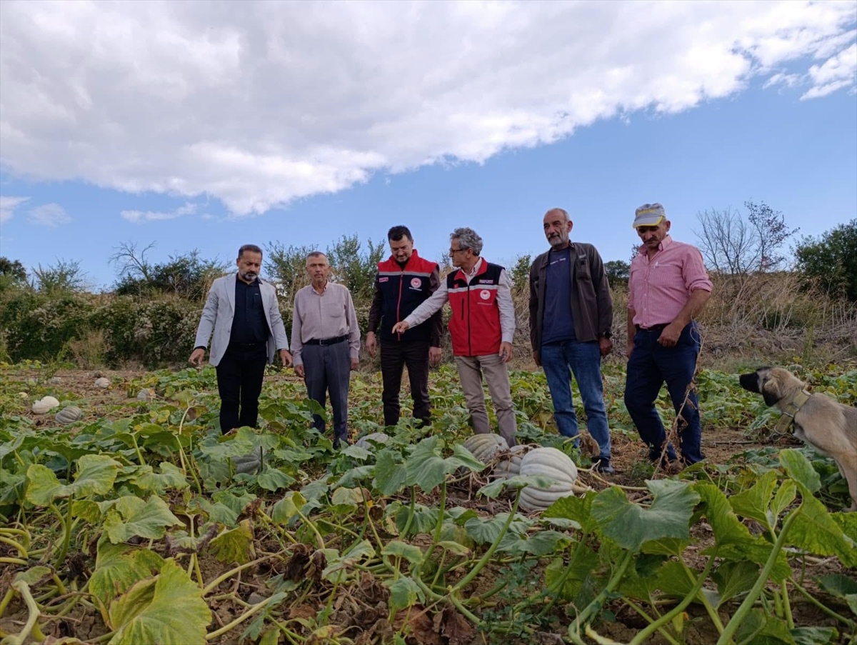Tekirdağ İl Tarım ve Orman Müdürü Aksoy, bal kabağı üreticisiyle sorunları görüştü