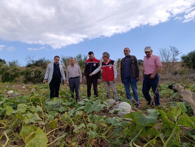 Tekirdağ İl Tarım ve Orman Müdürü Aksoy, bal kabağı üreticisiyle sorunları görüştü