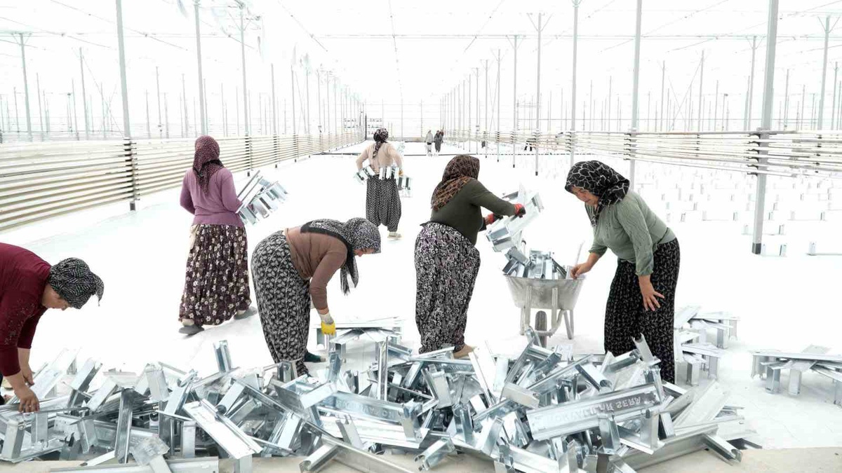 Afyonkarahisar Çobanlar\'da kadınlar 65 bin metrekarelik jeotermal sera kuruyor