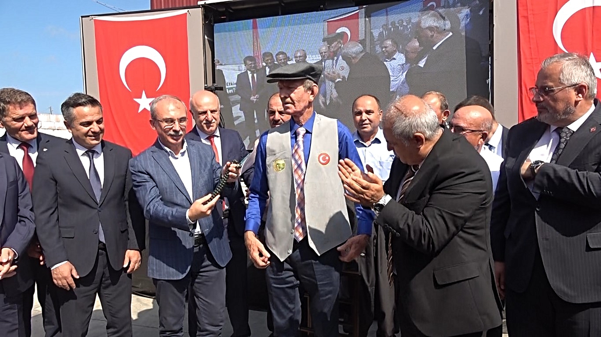 Bafra\'da çeltik hasat şenliğinde ağalığı 400 bin liralık bağışla Osman Akbaş kazandı
