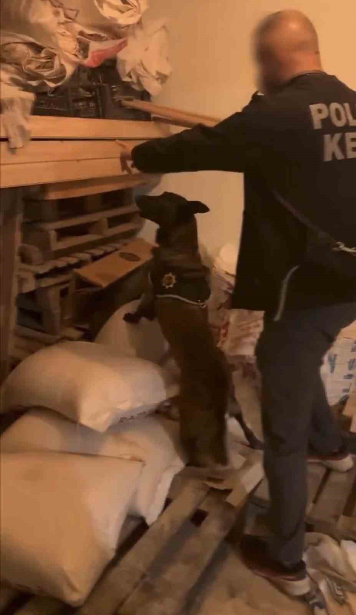 Bingöl\'de narkotik operasyonda 39,47 gram esrar ele geçirildi, 1 şüpheli tutuklandı