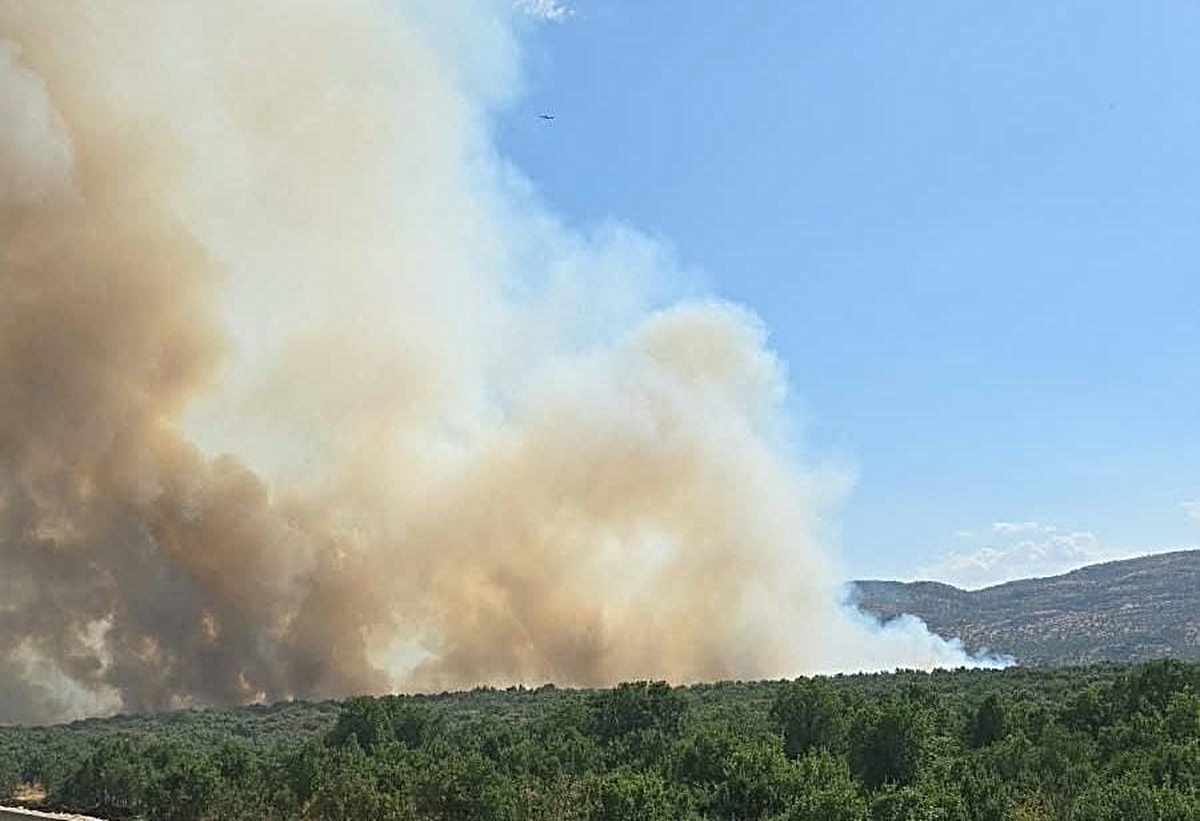 Diyarbakır\'da Silvan ile Lice arasındaki orman yangını kontrol altına alındı