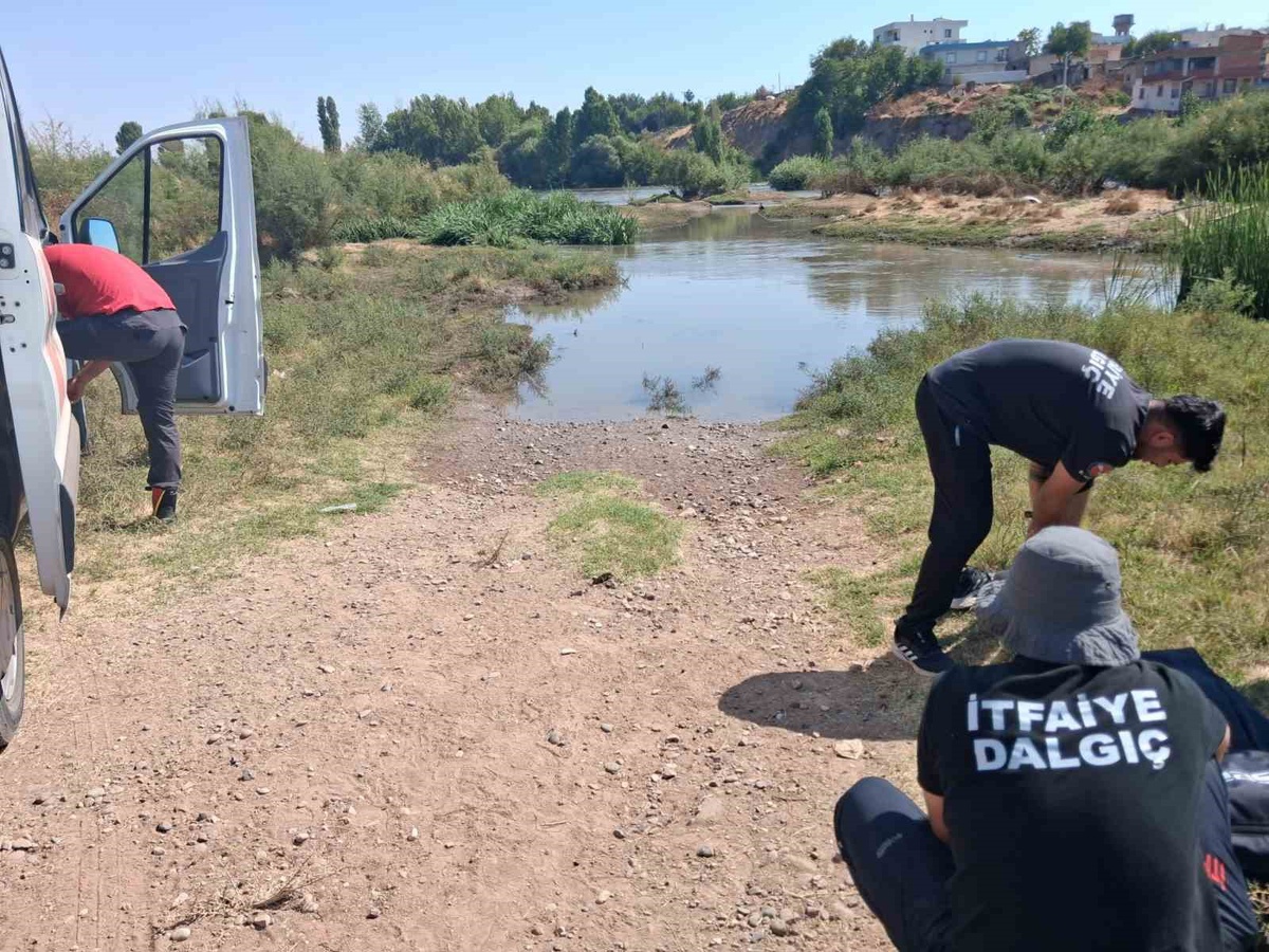 Diyarbakır Sur\'da adacıkta mahsur kalan 52 keçi ve oğlak 3 gün sonra kurtarıldı