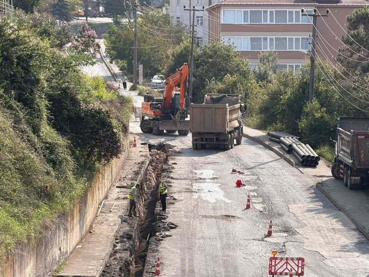 DSİ Bölge Müdürü Yasin Devrim, Alaplı İçme Suyu Projesi\'ni Tepeköy\'de inceledi