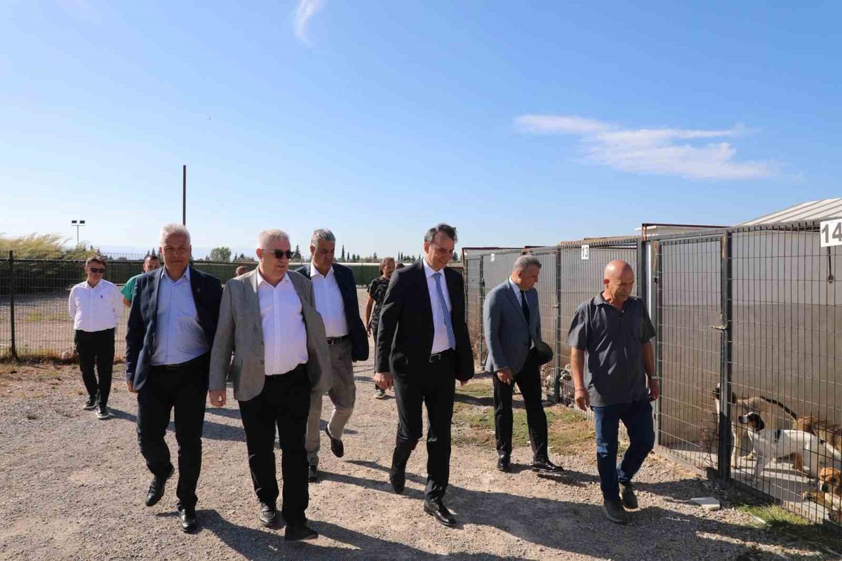 Edremit Kaymakamı Engin, Çıkrıkçı Sokak Hayvanları Merkezi\'nde inceleme yaptı