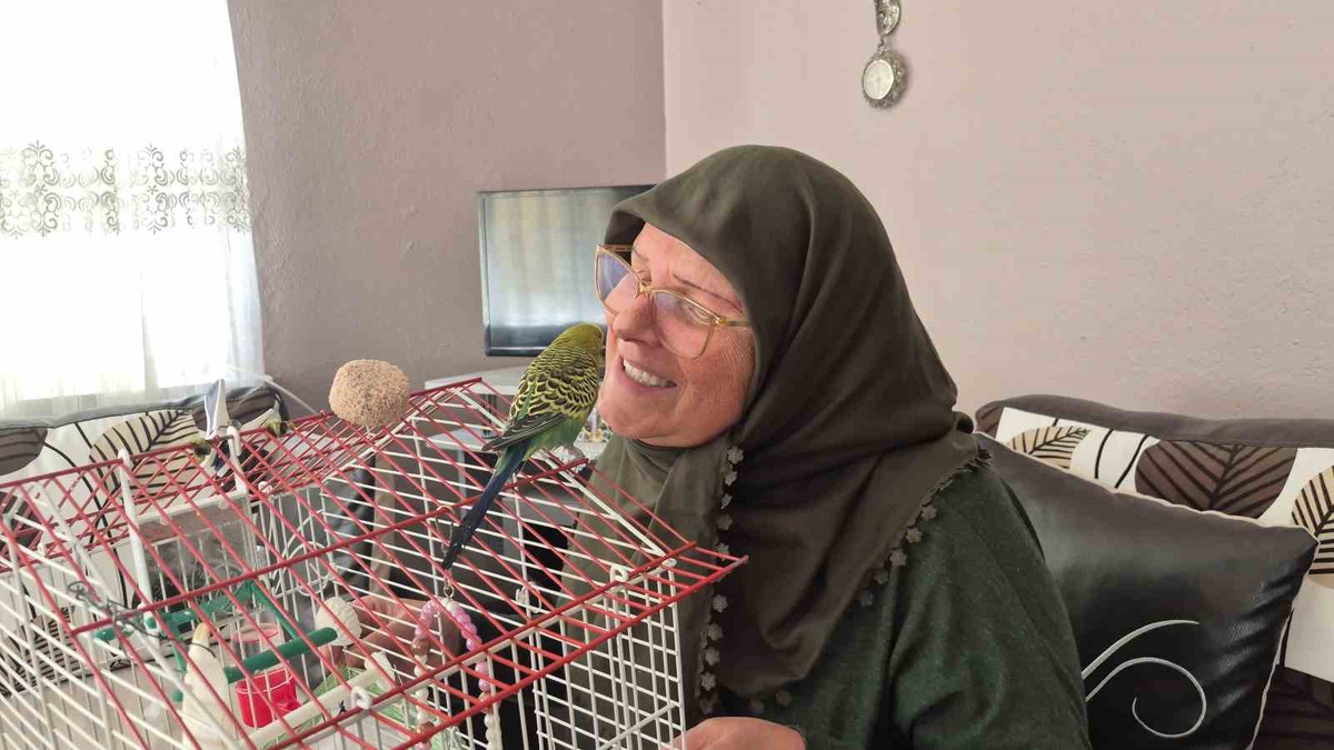 Eskişehir\'de ölümden dönen Fıstık, 67 yaşındaki sahibinin yalnızlığına ortak oldu