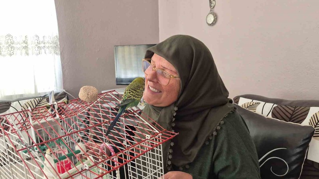 Eskişehir'de ölümden dönen Fıstık, 67 yaşındaki sahibinin yalnızlığına ortak oldu