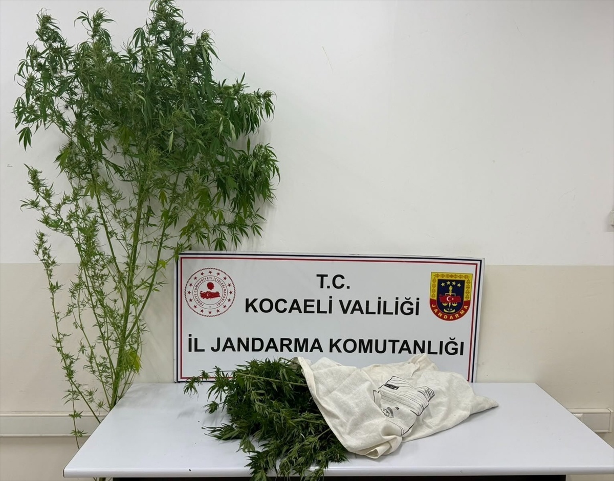 Kocaeli Kartepe\'de jandarma 3 kilo 750 gram esrar ele geçirdi, 1 şüpheli tutuklandı