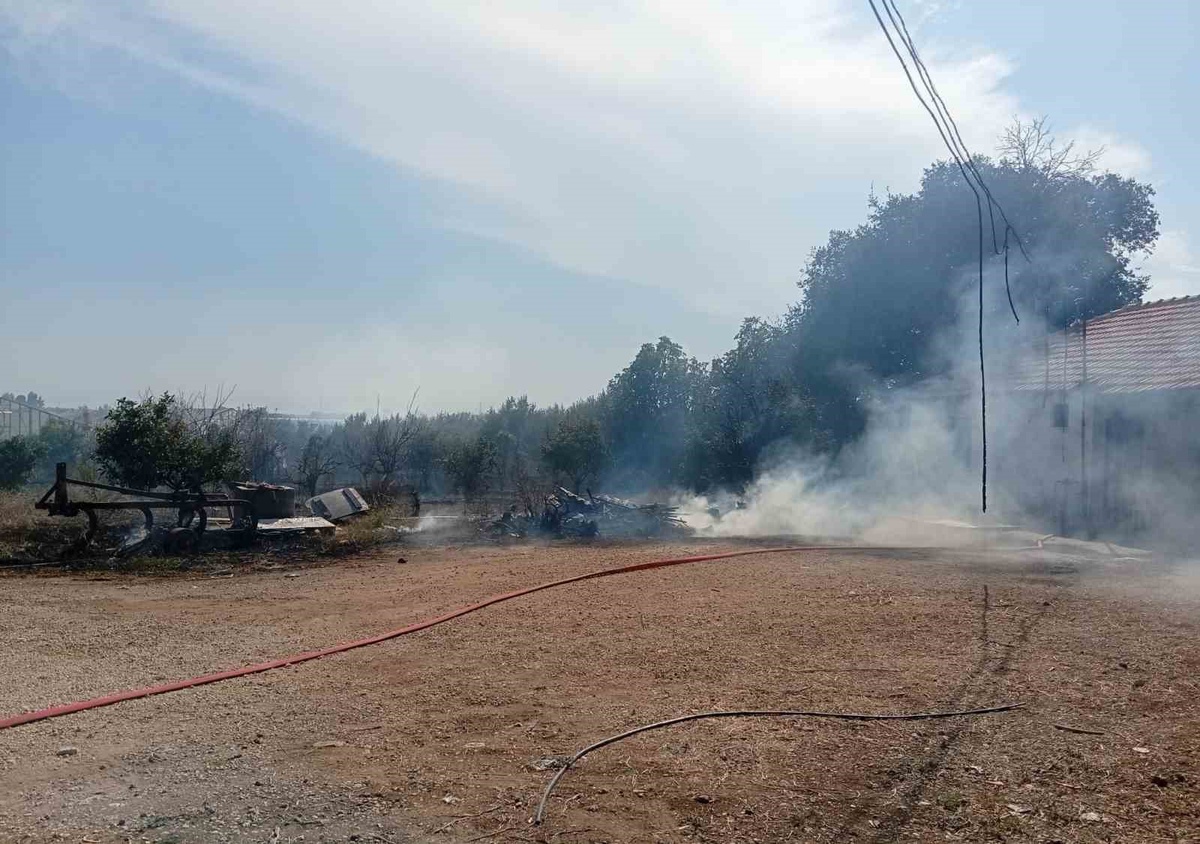 Antalya Serik Çandır\'da çıkan otluk yangın biber serasındaki ürünleri zarara uğrattı