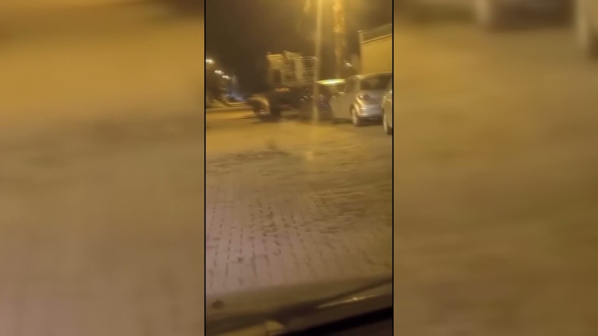 Sinop Saraydüzü\'nde ayı, gece ilçe merkezine inip araçların arasında dolaştı