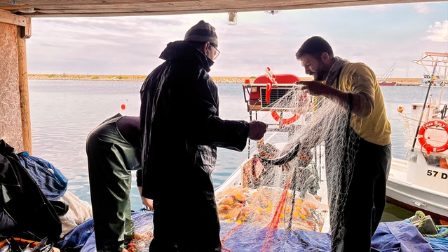 Sinop Türkeli'de kıyı balıkçılarının ağları 4 bin palamutla doldu