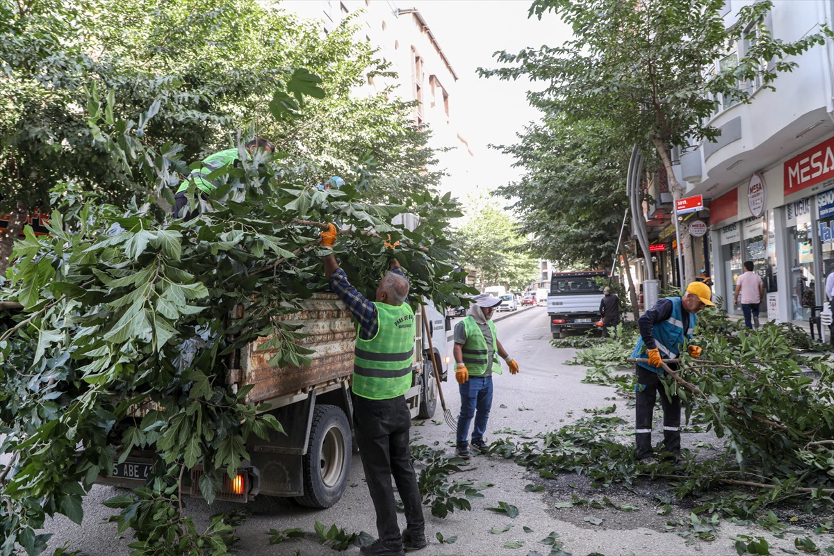 Van Büyükşehir Belediyesi ekipleri, Zübeyde Hanım Caddesi\'nde dalları budadı