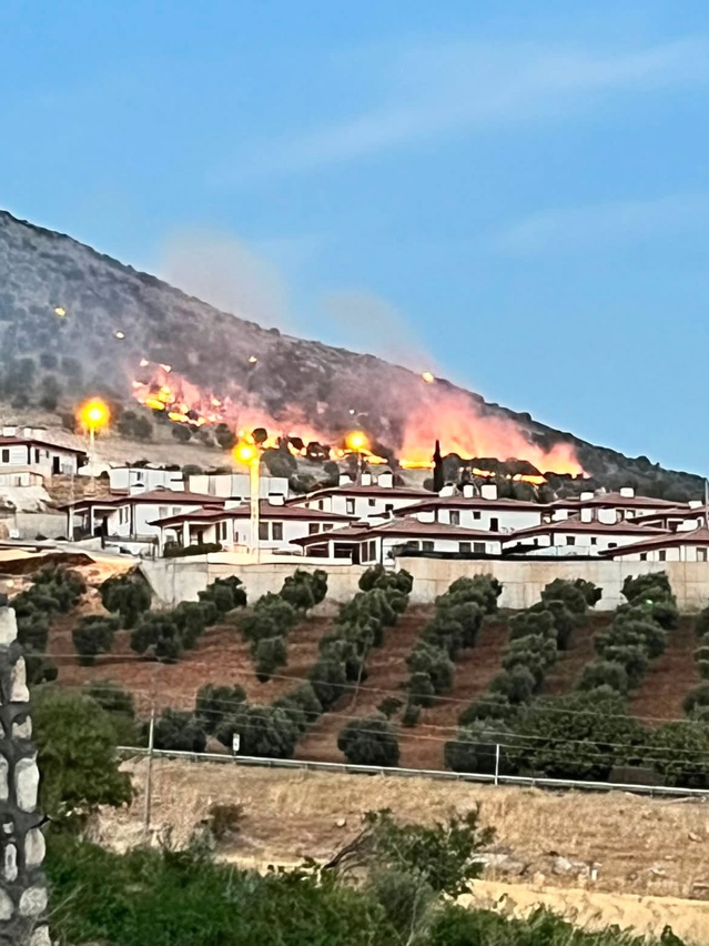 Adıyaman'ın Palanlı mevkiinde orman yangını itfaiye ekiplerince kontrol altına alındı
