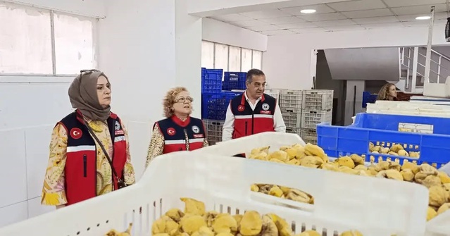 Aydın İnciri tesislerinde denetim sürüyor, İl Müdürü Temiz Nazilli'de inceleme yaptı