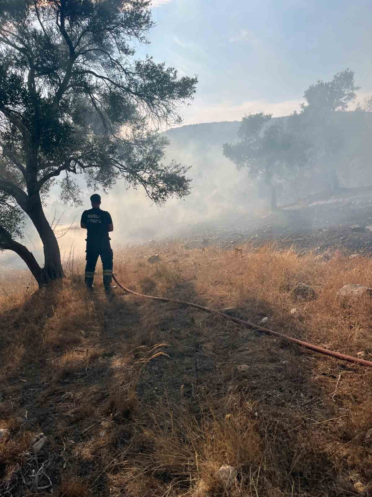 Bodrum-Milas karayolu Kemikler Mahallesi\'nde ot yangını kontrol altına alındı