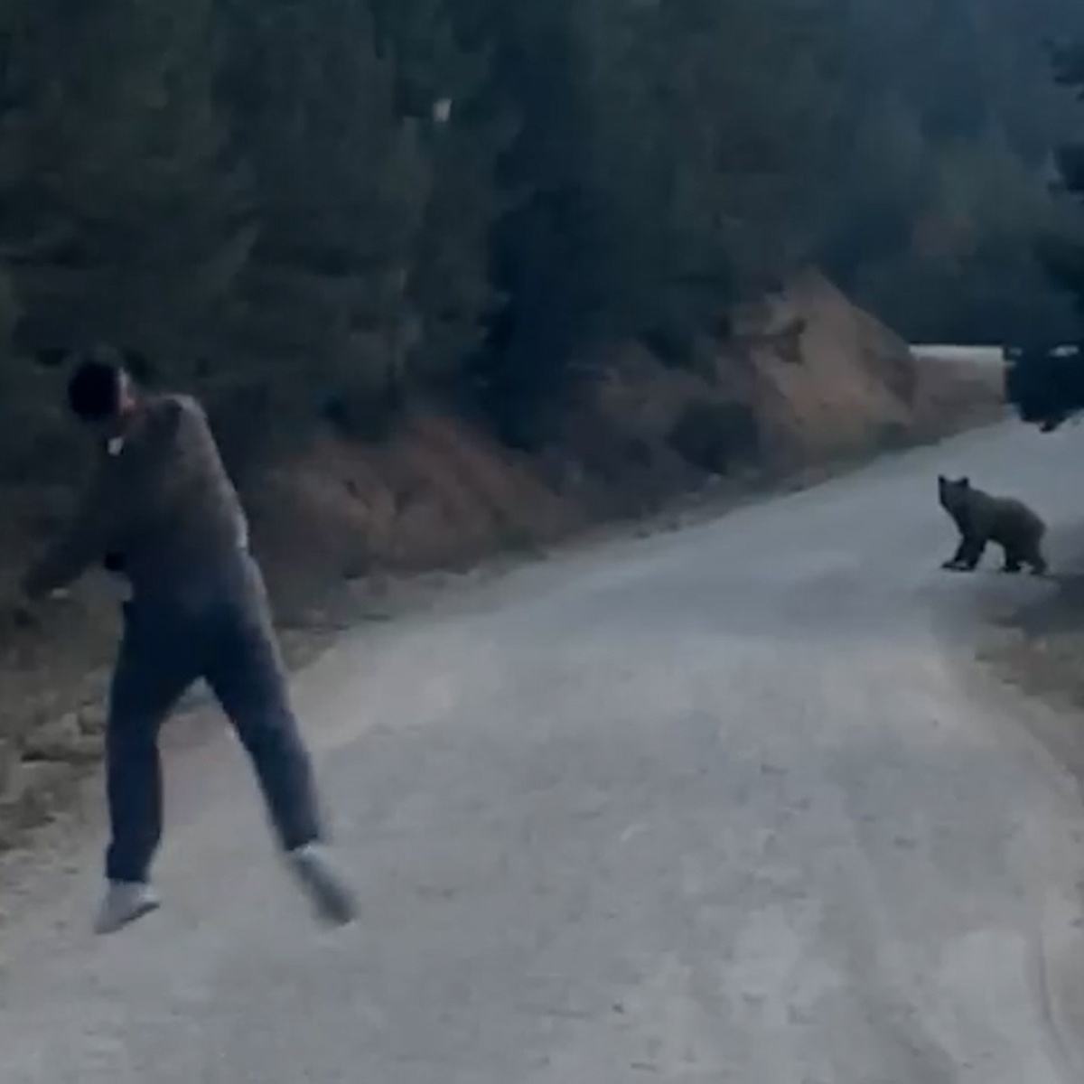 Bolu Mudurnu\'da ayıya seslenen arkadaş grubu, hayvanı taş atarak kovaladı