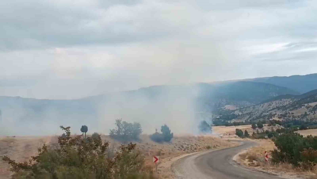 Bolu Seben\'de yangın HES\'lere varmadan söndürüldü, yaklaşık 8 dönüm arazi zarar gördü