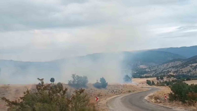 Bolu Seben'de yangın HES'lere varmadan söndürüldü, yaklaşık 8 dönüm arazi zarar gördü