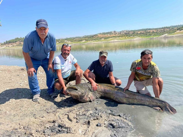 Afyonkarahisar'dan Denizli'ye giden 3 balıkçı 120 ve 85 kiloluk yayın balığı yakaladı