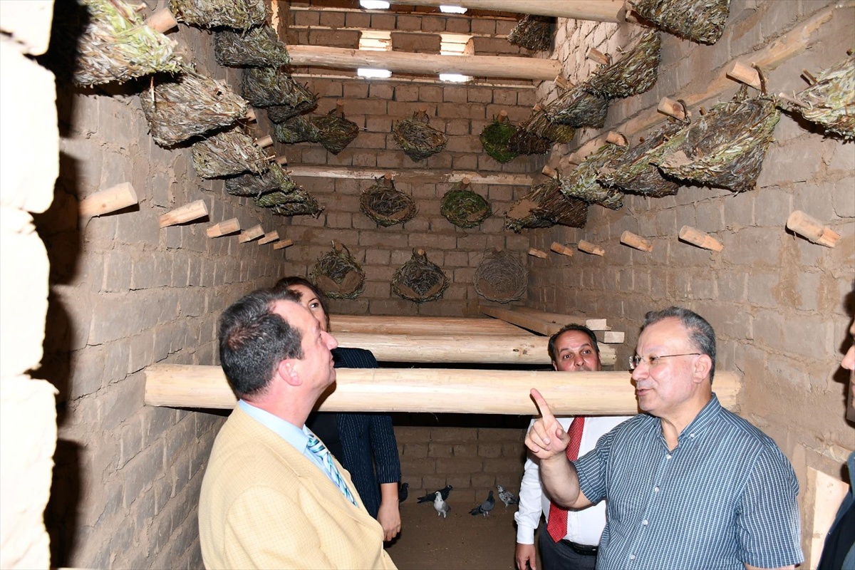Dicle Üniversitesi 10 günde boranhane kültürünü yaşatacak güvercin evi açtı