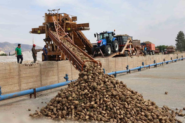 Elazığ Şeker Fabrikası 2026-2027 kampanyasında 240 bin ton pancar işleyecek