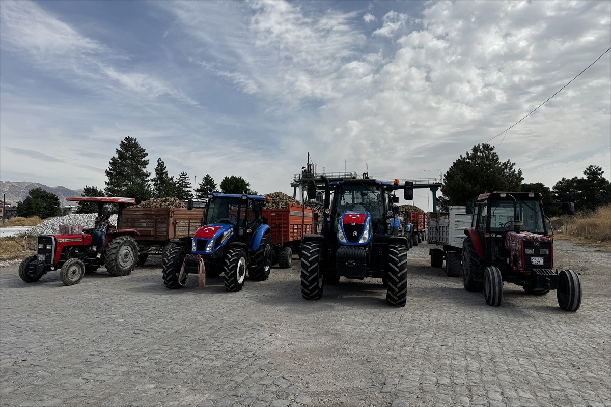 Elazığ Şeker Fabrikası\'nda 71. pancar alım kampanyası 2 bin 708 çiftçiyle başladı