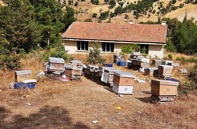 Kütahya Emet'te arılı kovan tespiti yapıldı, kontrollerin sürdüğü belirtildi