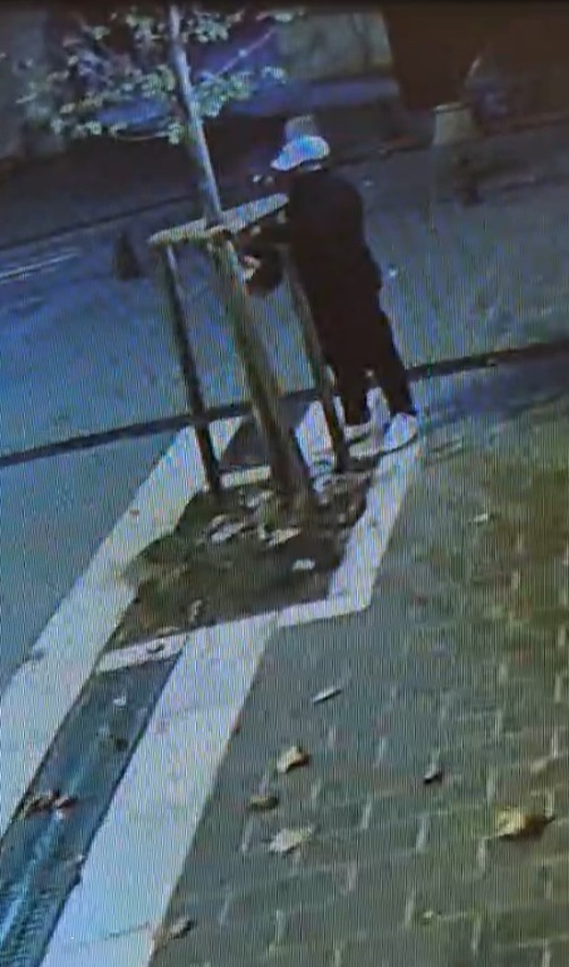Fatih'te kimliği belirsiz kişi, iddiaya göre iş yeri önündeki ağacı testereyle kesti