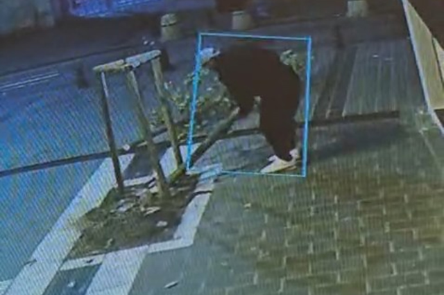 Vitrin görünmüyor diye ağacı kesti! Her şey saniye saniye kaydedildi