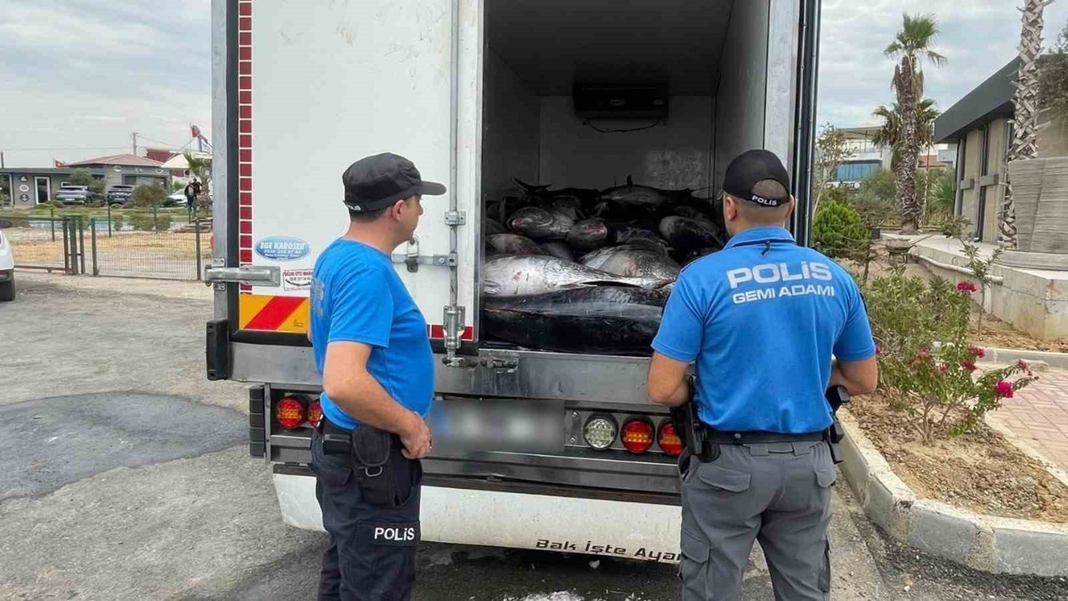 İzmir Güzelbahçe\'de deniz polisi 3 ton kaçak mavi yüzgeçli orkinos ele geçirdi