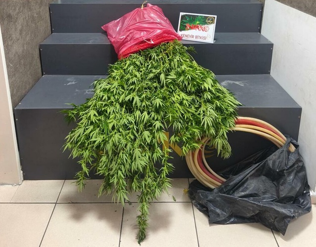 İzmir Konak'ta operasyonda 13 bin 442 sentetik hap ele geçirildi, 4 kişi tutuklandı