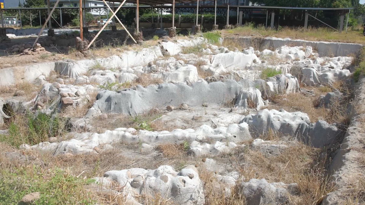 İzmir Yassıtepe\'de 5 bin yıllık planlı kentte zeytin çekirdekleri bulundu