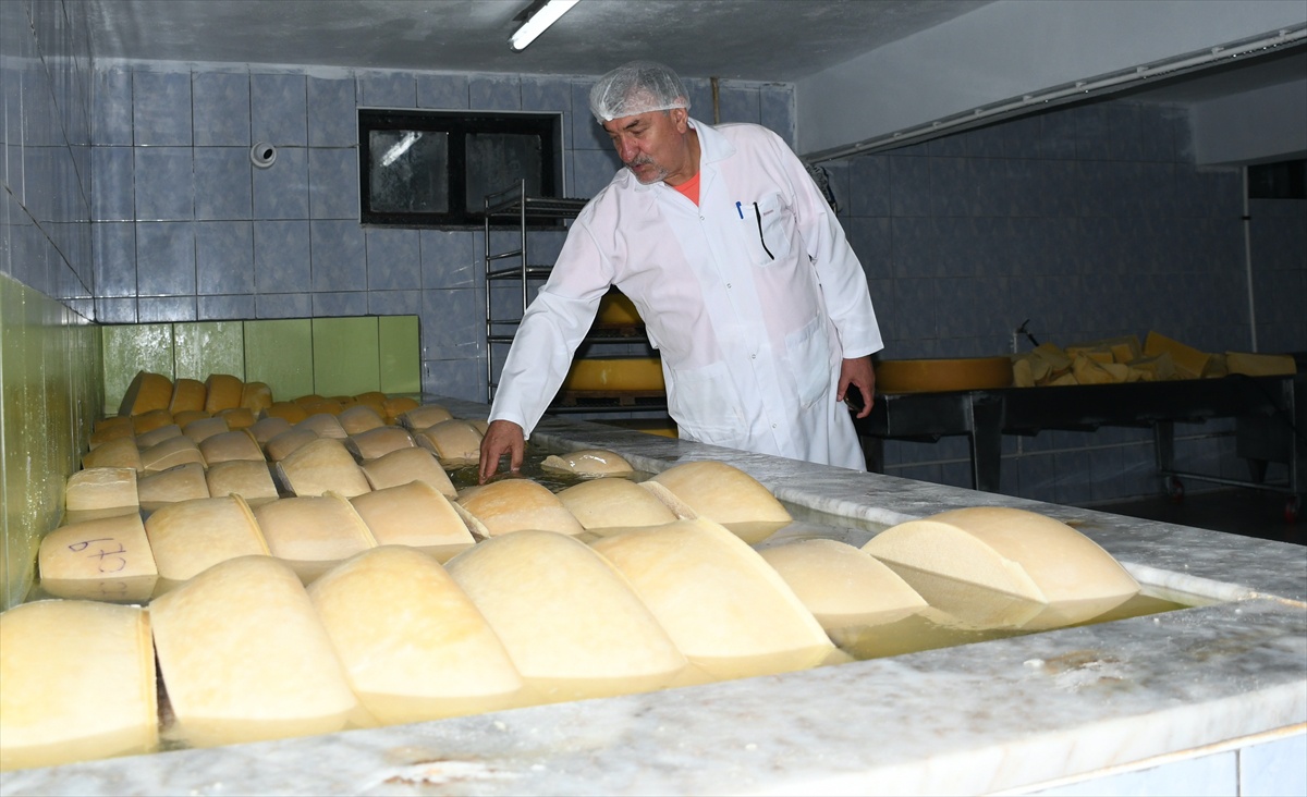 Kars Boğatepe\'de mera sütünden yapılan gravyer yıllık 400-500 ton üretiliyor
