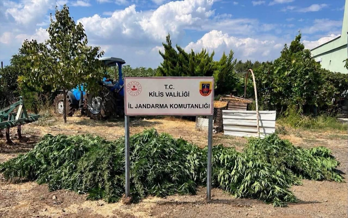 Kilis\'te jandarma 40 kilo 500 gram esrar ele geçirdi, 1 şüpheli gözaltına alındı